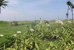 101年8月11~12日永續台東密..