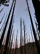 2013-03-17 水漾 069 (小型)