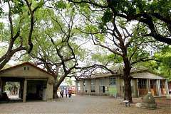 226994_578471005511491_123..