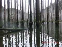 410_10151355199314087_1843..