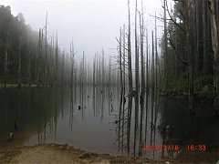 2013-03-16 水漾 152 (小型)