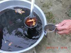 485_10151355193594087_5449..