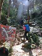 2013-03-17 水漾 210 (小型)