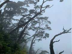 5316162精彩北大武 三天剛剛..