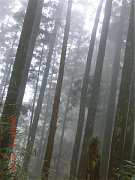 2013-03-16 水漾 116 (小型)