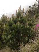 392542_413860041981612_100..