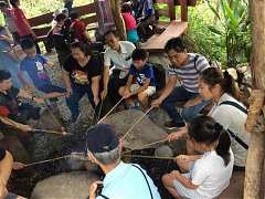 c51488d741c020313892883de9..