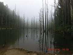 734317_10151355191634087_1..