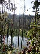 544498_10151355209034087_2..