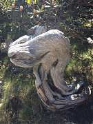 547724_413860415314908_100..