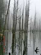 2779_10151355193294087_770..