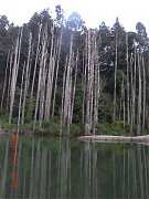 2013-03-17 水漾 016 (小型)