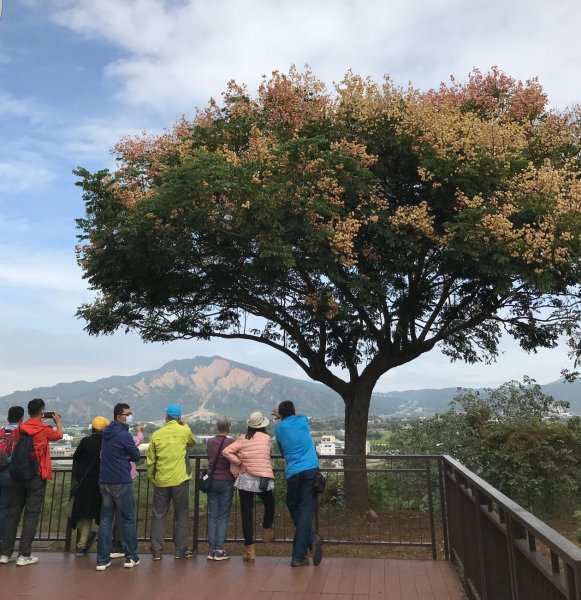 20201024-25國內旅遊_201231..