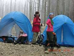 562925_10151355194064087_1..