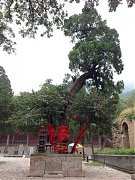 1375284_645815618786052_34..