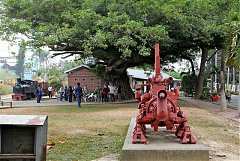 11253_578471565511435_9299..