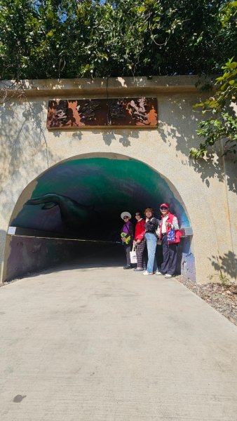 LINE_ALBUM_20250216永續協..