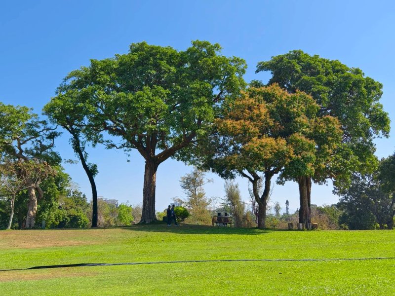 LINE_ALBUM_2026222新春聯誼..