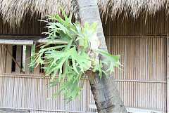 101年8月11~12日永續台東密..