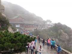 1375221_645808608786753_34..