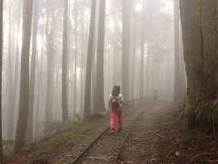 601001_448968615137421_178..