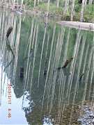 2013-03-17 水漾 105 (小型)