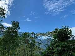 5316162精彩北大武 三天剛剛..