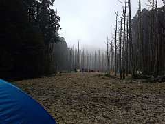 181015_554866131214335_173..