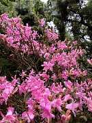 5316162精彩北大武 三天剛剛..