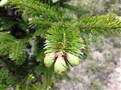 550837_413851795315770_100..