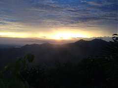 532401_448968768470739_155..