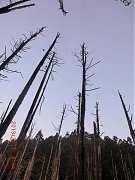 303113_10151355198904087_2..