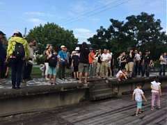 c51488d741c020313892883de9..