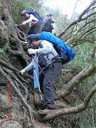 205325_10151355189804087_8..