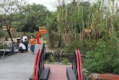 226829_578469122178346_208..