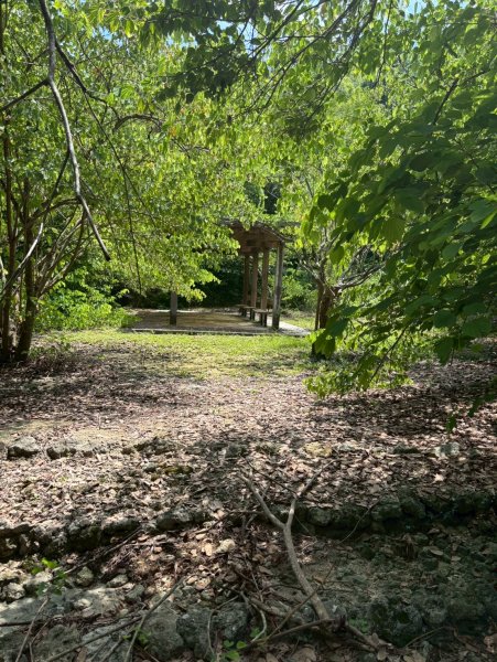 LINE_ALBUM_2025824 大崗山..