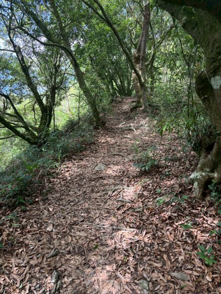 LINE_ALBUM_2020518德文山登..