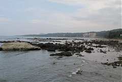 101年8月11~12日永續台東密..