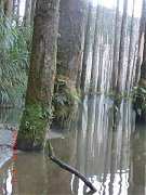 487621_10151355200229087_1..