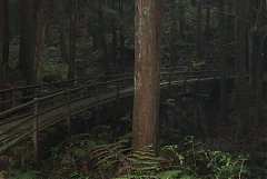 293785_10150963085074087_1..