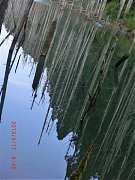 2013-03-17 水漾 103 (小型)