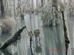 2013-03-17 水漾 061 (小型)