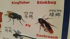 190713-永續-藝覽-高美館-太..