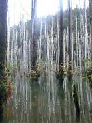 66489_10151355200124087_11..