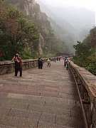 1238007_645812648786349_17..