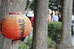 644237_578468852178373_111..