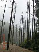 2013-03-16 水漾 137 (小型)