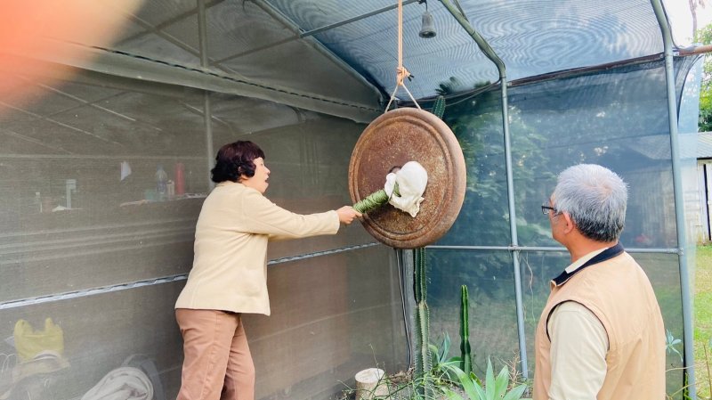 LINE_ALBUM_114112月例會-永..