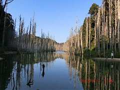 1826_10151355205799087_301..