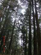 2013-03-16 水漾 094 (小型)